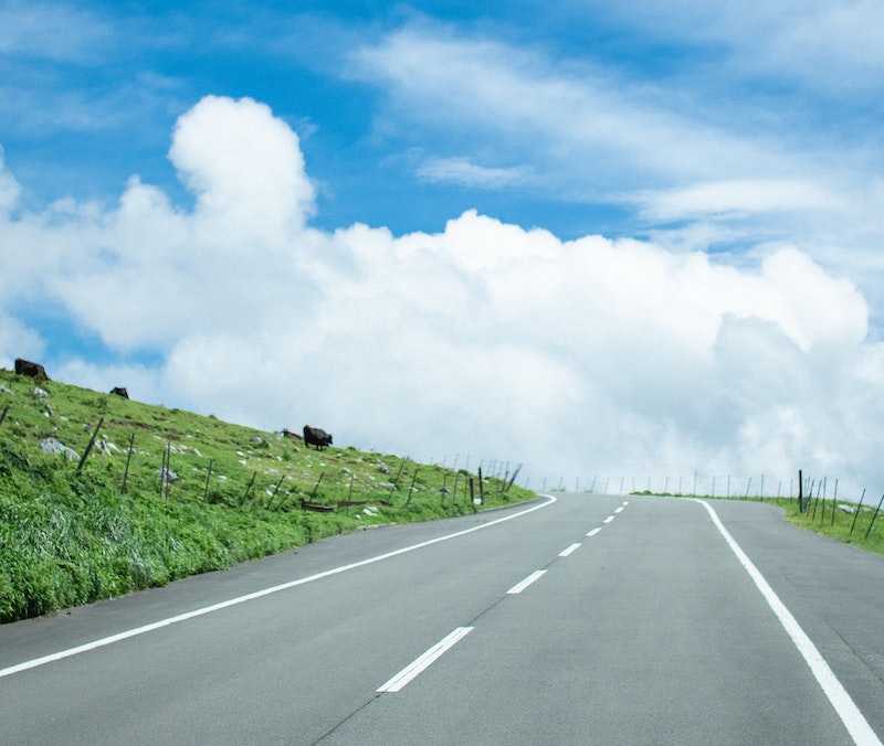 Application Roadmap
